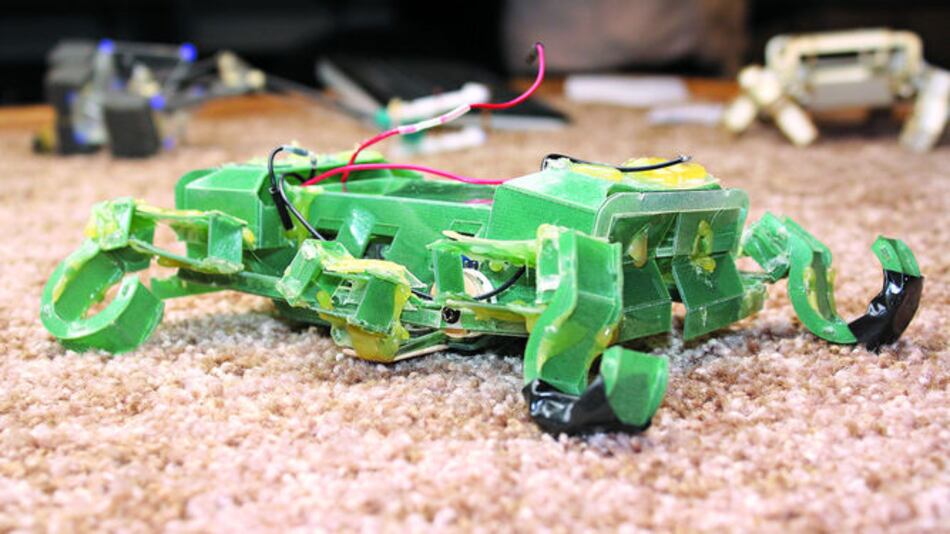 Robots inspirados en animales