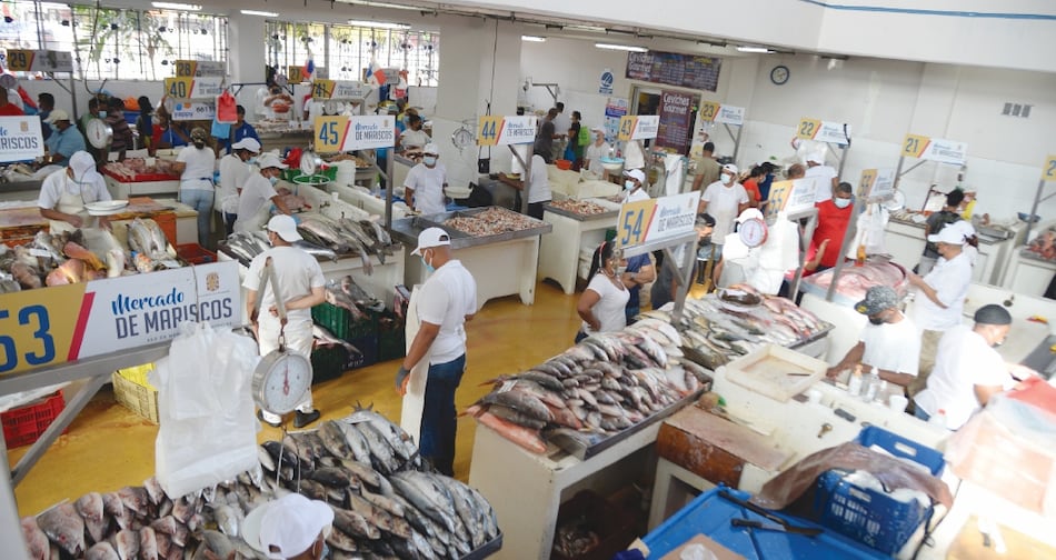 Fábrega apostaba a un ‘llave en mano’ para mercado