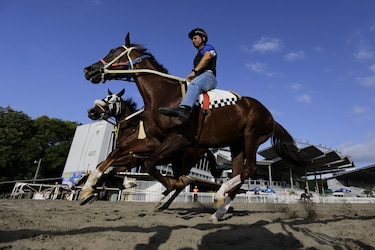 La Serie Hípica del Caribe, el gran evento que cierra el año deportivo en Panamá