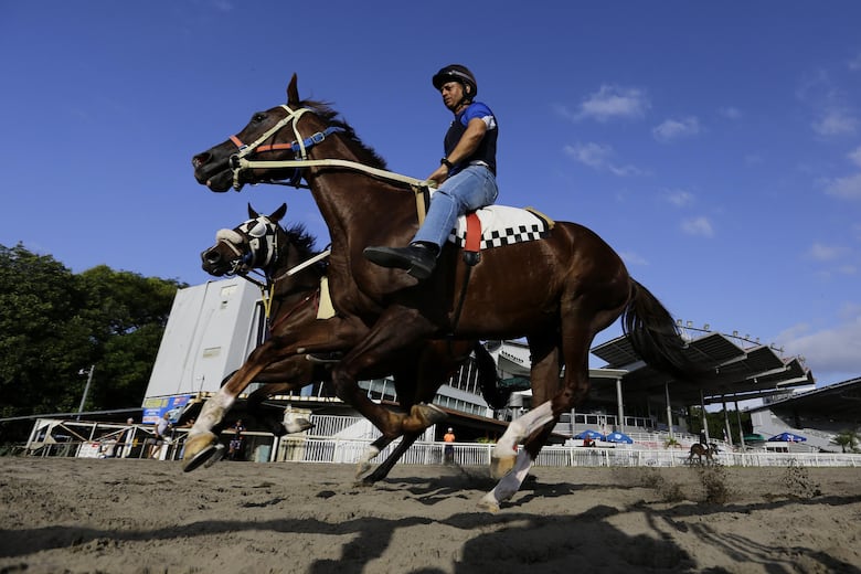 Panamá será la sede de la Serie Hípica del Caribe 2025
