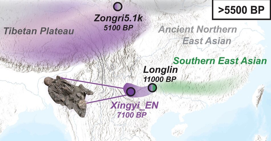 Genomas revelan una ascendencia asiática no observada previamente