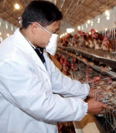 Dos muertos en China por un tipo poco conocido de gripe aviar