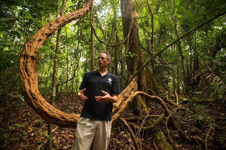 ¿La liana más grande del mundo está en isla Barro Colorado?
