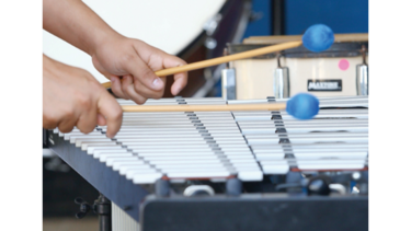 Melodías de los campistas