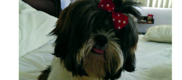 La dulce Nyky