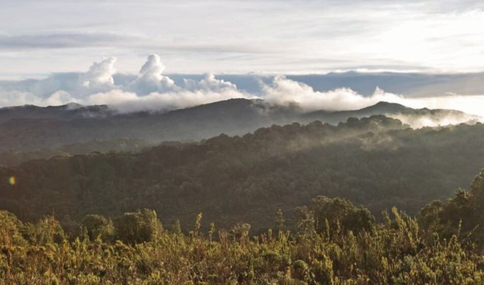 Por afectar áreas protegidas el presidente Varela veta proyecto de ley para crear la comarca Naso