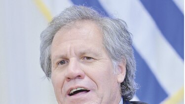 OEA: En Venezuela no hay garantía de elecciones justas