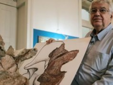Descubren el mayor dinosaurio de Brasil que estuvo guardado 60 años en el clóset de un museo