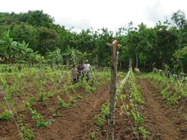 Agricultura sostenible en las comarcas