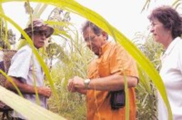 Turismo al día Un breve paseo por ‘El Motete’