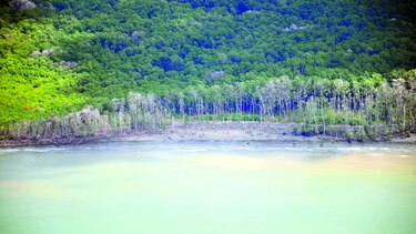 ¿Qué pasa en el humedal?