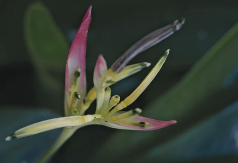 Cita con la fotografía