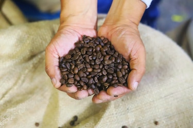 Café Durán impulsa la caficultura en la Comarca Ngäbe-Buglé