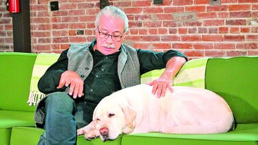 Edward James Olmos aboga por las mascotas