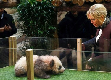 El primer bebé panda en Francia tiene nombre: Yuan Meng