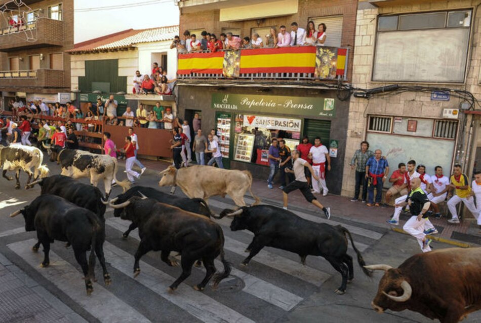 Toros matan a 12 personas en España durante agosto de 2015