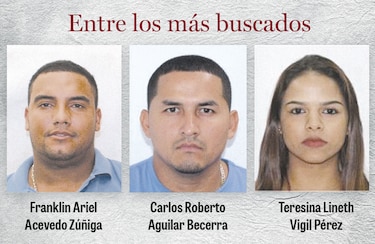 Desenmascaran dos estructuras criminales que operaban en el país