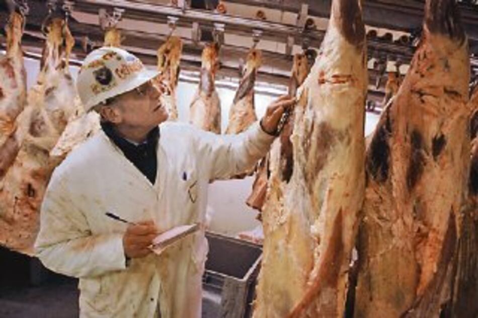 Aumentará exportación