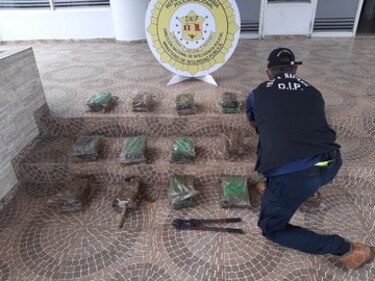Estamentos de seguridad incautaron más de 70 toneladas de droga en 150 operaciones: Pino