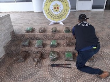 Estamentos de seguridad incautaron más de 70 toneladas de droga en 150 operaciones: Pino