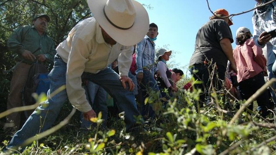 Asesinan a activista que lideró búsqueda de los 43 estudiantes de Ayotzinapa