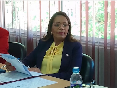 Denuncian a diputada del PRD por supuestamente participar en actividades financiadas con fondos públicos