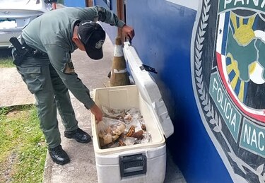 Decomisan en Chiriquí productos sin registro sanitario y otros que no cumplían con las normas de comercialización