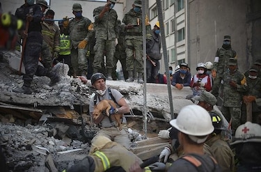 ¿Has visto este perro? Mexicanos buscan a sus mascotas