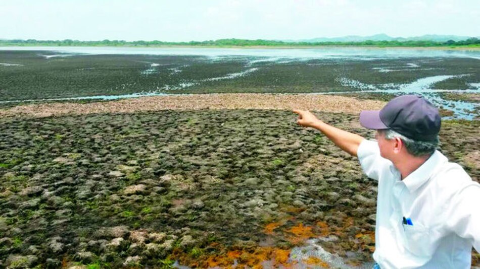 Aguaceros favorecen ciénaga