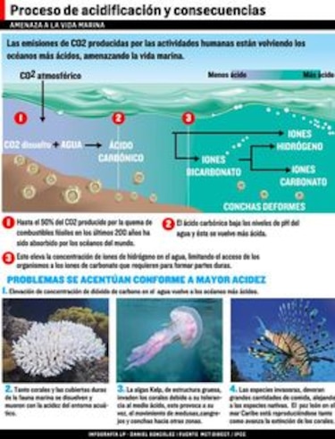 La acidez hace convulsionar los océanos