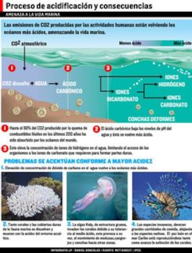 La acidez hace convulsionar los océanos
