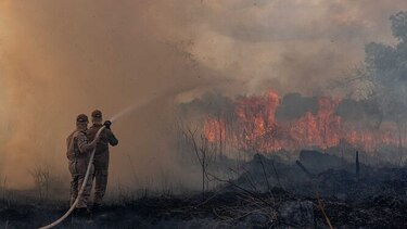 Brasil prohíbe quemas; ONU piensa en una cumbre mundial sobre la Amazonía