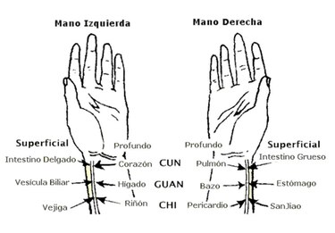 Equilibrio, prevención y cura: el papel de la medicina tradicional china en el siglo XXI