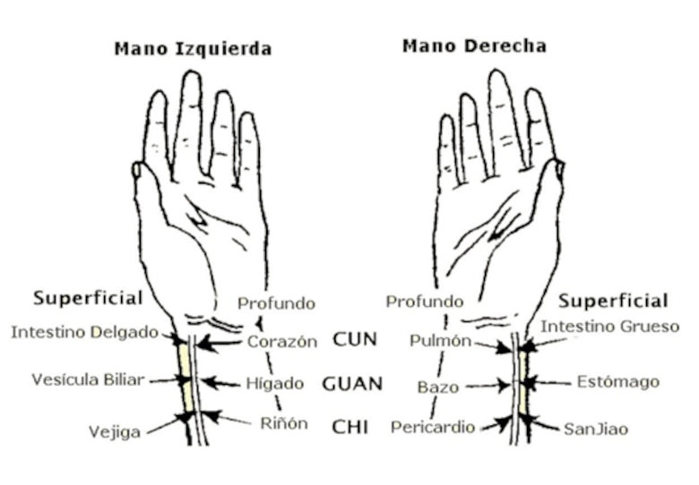 Equilibrio, prevención y cura: el papel de la medicina tradicional china en el siglo XXI
