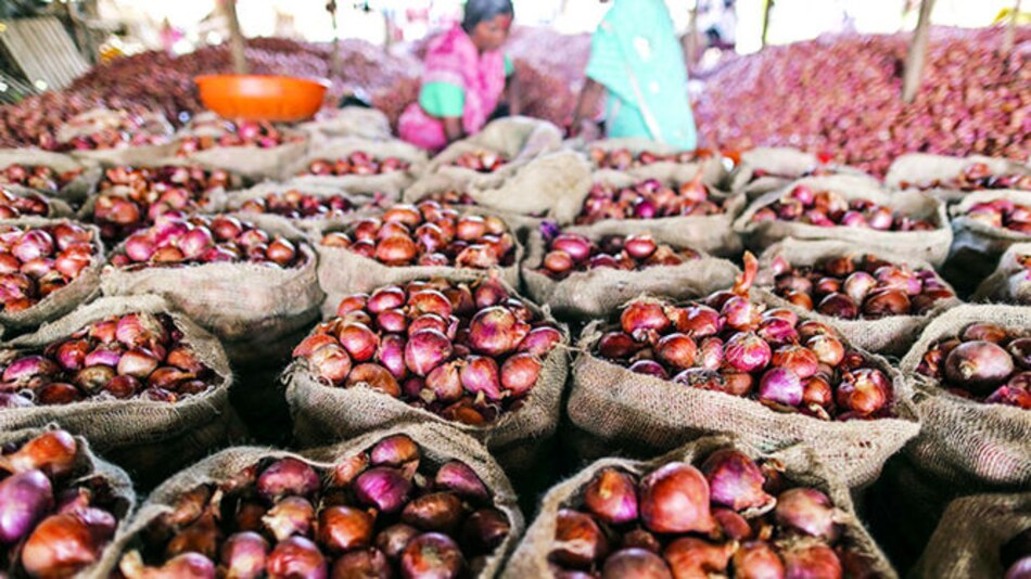Nicaragua recibe cebolla importada