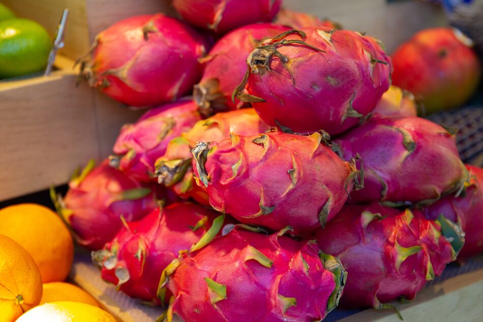 Panamá exportará pitahaya a Europa el próximo año