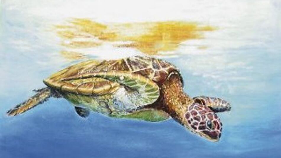 Los pinceles de Ceci Watson