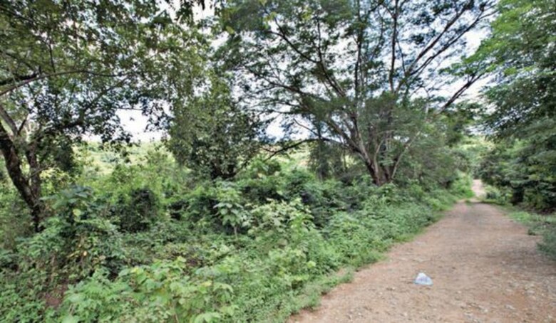 Juzgados validan excarcelaciones con falsos documentos