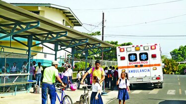 Evacuan a estudiantes por enjambre de abejas africanizadas