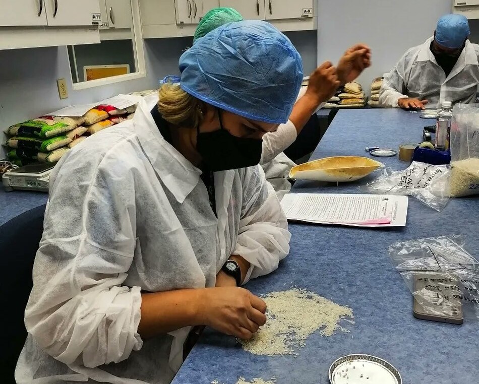 Solo dos marcas de arroz cumplen con los parámetros de calidad; Acovipa dice que pronto habrá escasez