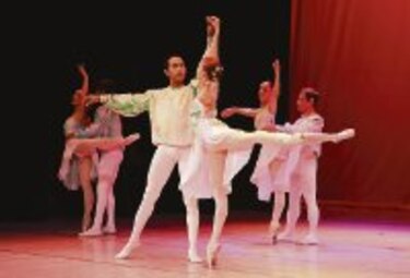Celebración por la danza