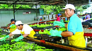 Coobana no quiere repetir ejemplo de Coosemupar R.L.