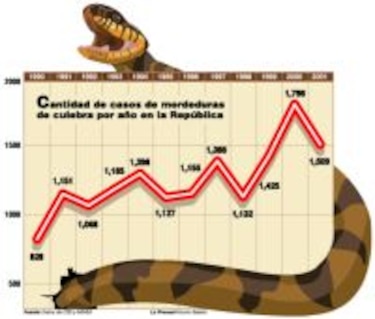 Culebras venenosas de Panamá