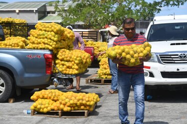 Naranja y limón entrarían al control de precio a raíz del coronavirus