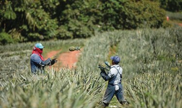 Generar empleo sostenible, el desafío de la reactivación