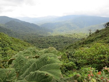 Costa Rica y la FAO firman programa para abordar los desafíos de sistemas agroalimentarios