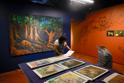 Panamá imagina la memoria de la selva de Darién en un viaje artístico por el mapa colonial