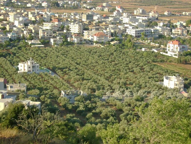 Entre la sopa de pata y la guerra, una panameña en Cisjordania mientras la paz se dilata