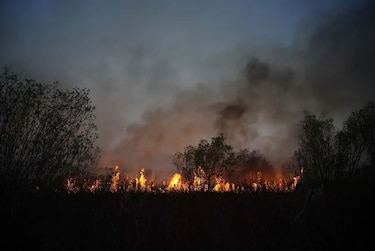 Argentina combate incendios ‘de gran magnitud’ que arrasan en el norte