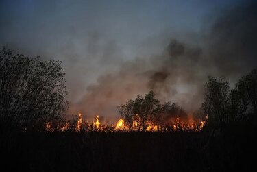Argentina combate incendios ‘de gran magnitud’ que arrasan en el norte